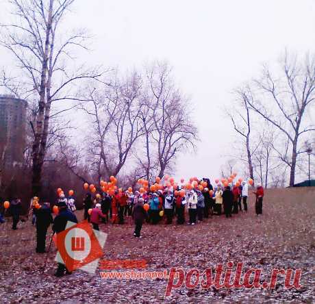 День ПЗИТИВА) Осень 2014