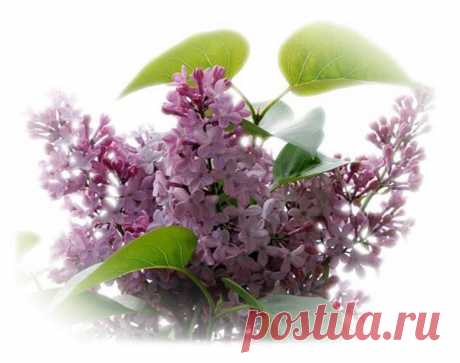 Татьяна Ошарина