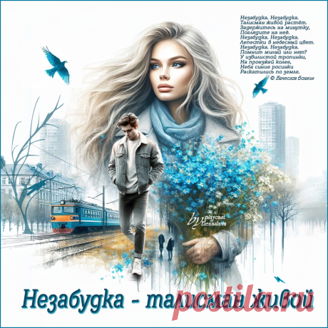 Незабудка - талисман живой... ~ Открытка (плейкаст)