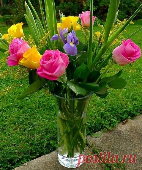 (15) Зина Таирова