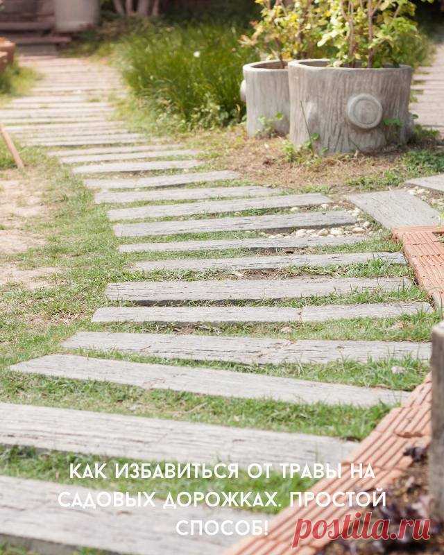 Как избавиться от травы на садовых дорожках. Простой способ! — Домашний уют