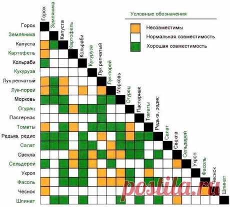 совместимость растений
