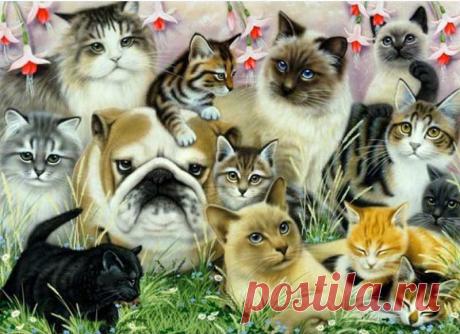 Одноклассники