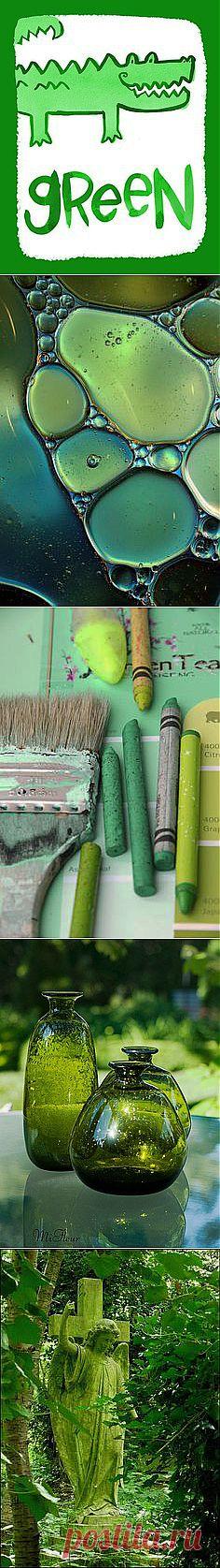 green web | Windows to the Soul