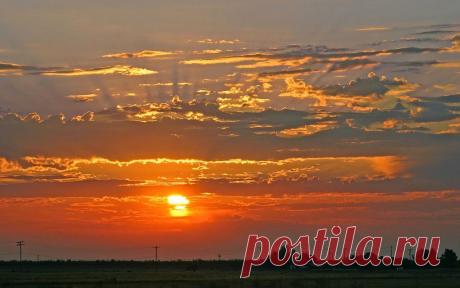 (87) Одноклассники