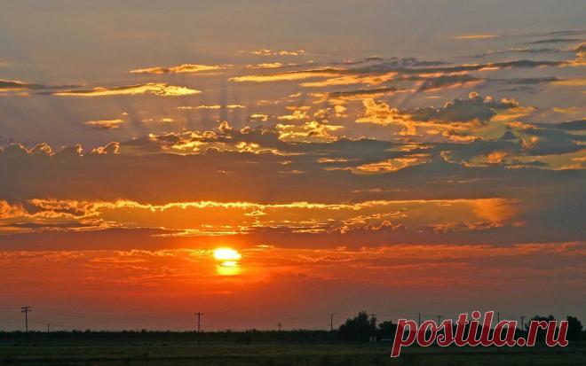 (87) Одноклассники