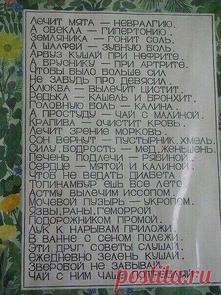 Чисто так, на всякий случай | Мари | Яндекс Дзен