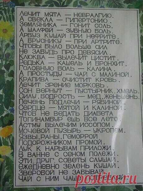 Чисто так, на всякий случай | Мари | Яндекс Дзен