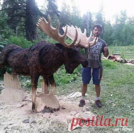 Ставим лося автору этого шедевра