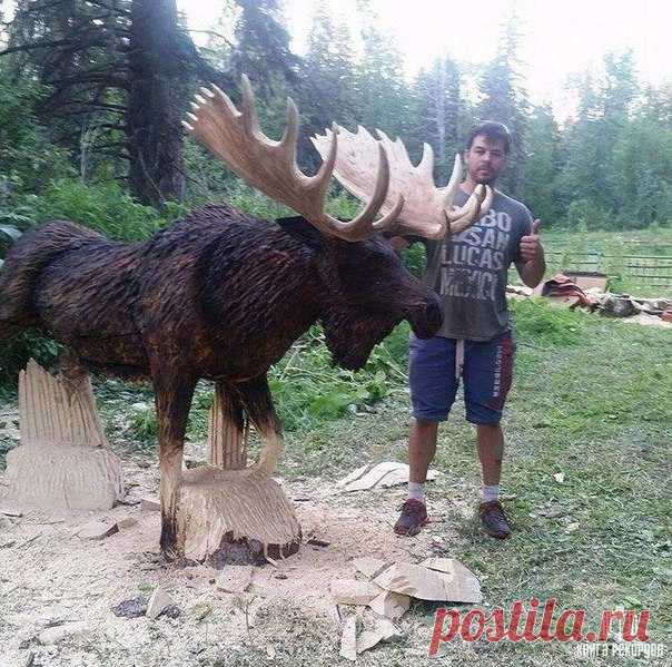 Ставим лося автору этого шедевра