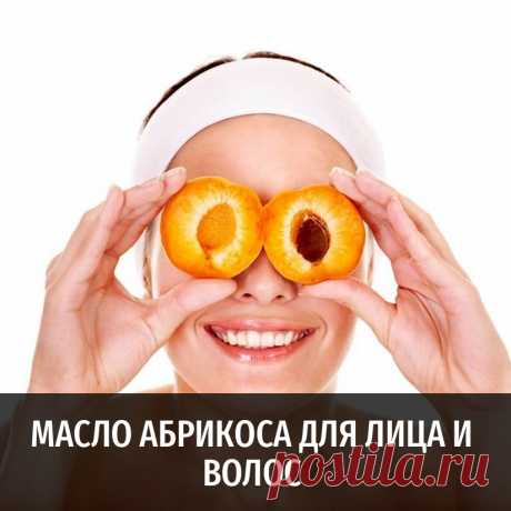 Масло абрикоса для лица и волос и другие полезные статьи от Масляного Короля