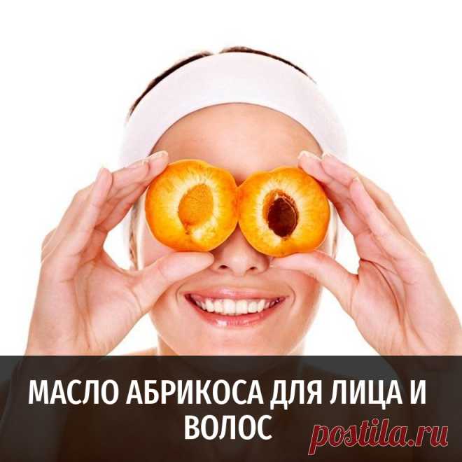 Масло абрикоса для лица и волос и другие полезные статьи от Масляного Короля