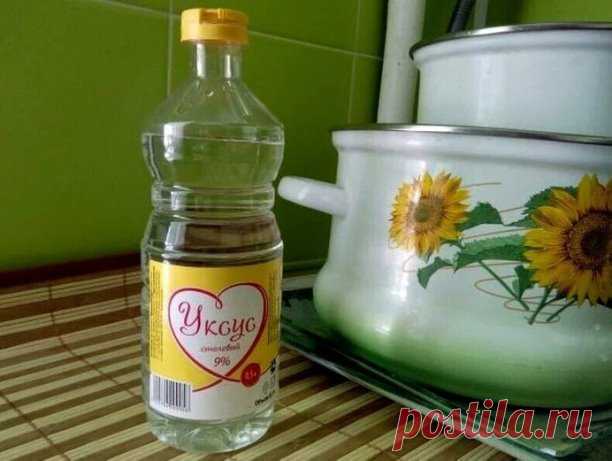 20 применений уксуса, о которых Вы не знали!