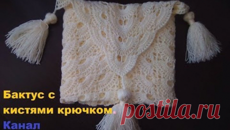Бактус с кистями крючком.