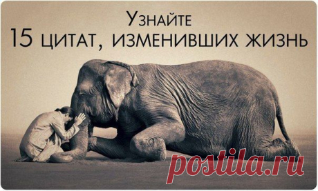 15 цитат, помогающих жить