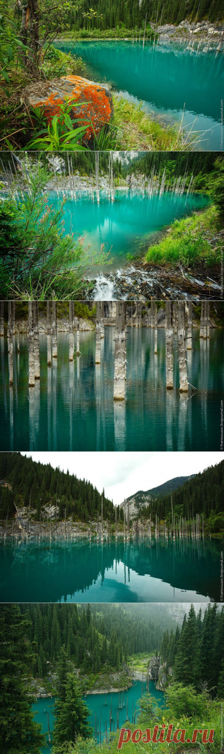 Озеро Каинды или утонувший лес.