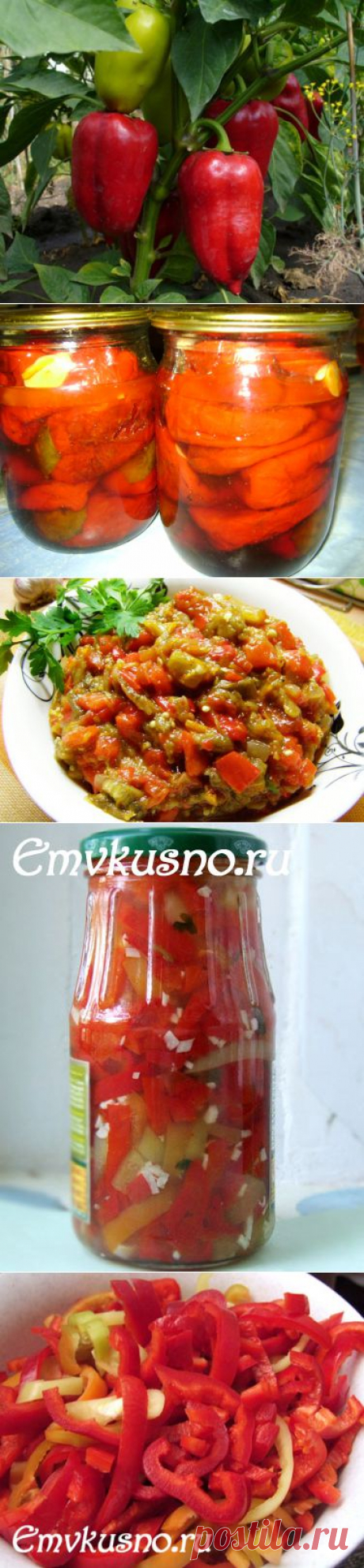 Очень вкусные заготовки из болгарского перца на зиму (Продолжение) | Подружки