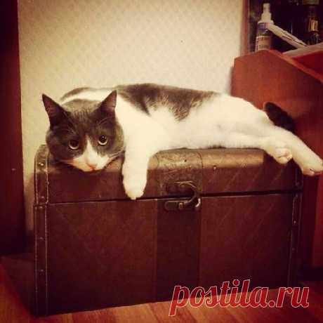 Там груды золота лежат...и мне они принадлежат