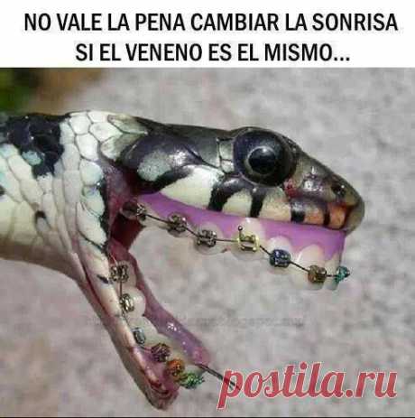 Wereverwero - Timeline Photos