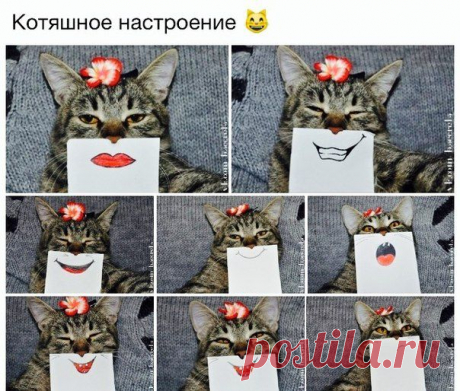 Александра Котовская