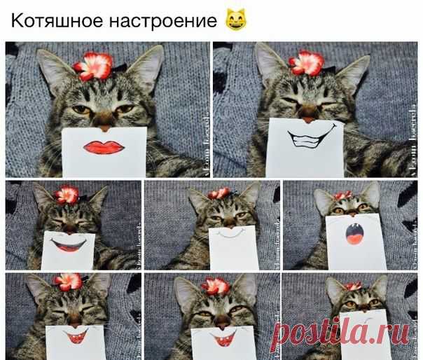Александра Котовская