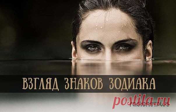 Взгляд по Зодиаку