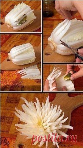 АСТРА БЕЛАЯ !!!