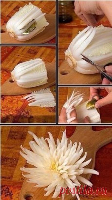 АСТРА БЕЛАЯ !!!