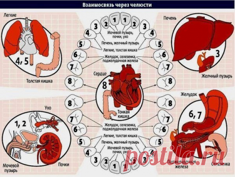 здоровье | Записи с меткой здоровье | Aliciya Bes