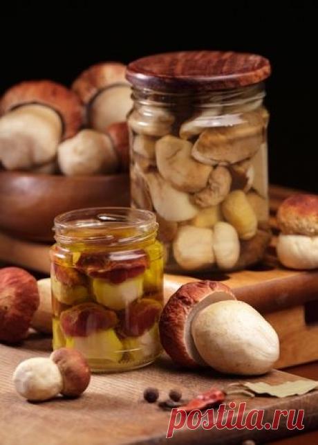 Три дореволюционных рецепта соления грибов | Публикации | Вокруг Света