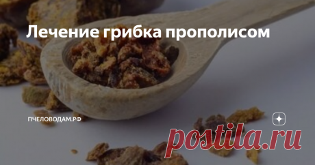 Лечение грибка прополисом Прополис - природный продукт, обогащённый минералами и витаминами. По сути, это клей, которым пчёлы заделывают щели в ульях, перекрывают вход, закрывают соты, дезинфицируют ячейки, обволакивают посторонние предметы.