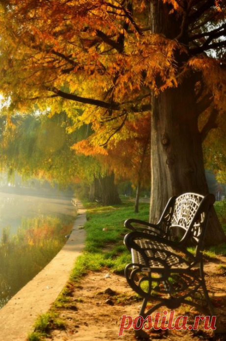 my misty morning