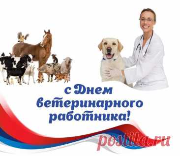 С Днем ветеринара поздравляю!
А за то, что вы добро несете,
Быть всегда в заслуженном почете.
Больше радостных, счастливых вам моментов
И любви от ваших пациентов.