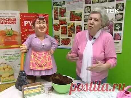 Советы тети Тани. Кокосовые брикеты.