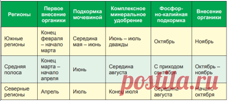 Малину срочно накормить