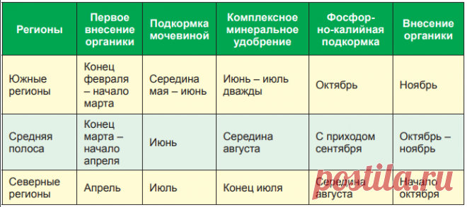 Малину срочно накормить