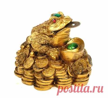Мусор, запасы продуктов, деньги: вещи, которые притягивают бедность в ваш дом