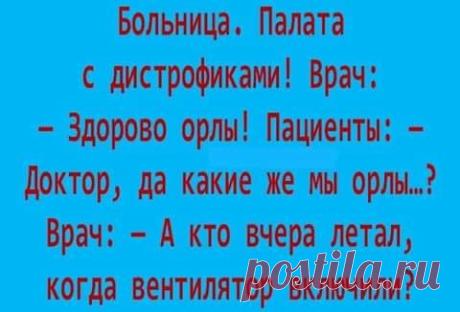 Свежая порция приятностей