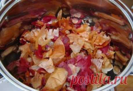 Отвар луковой шелухи: польза и вред, рецепт приготовления