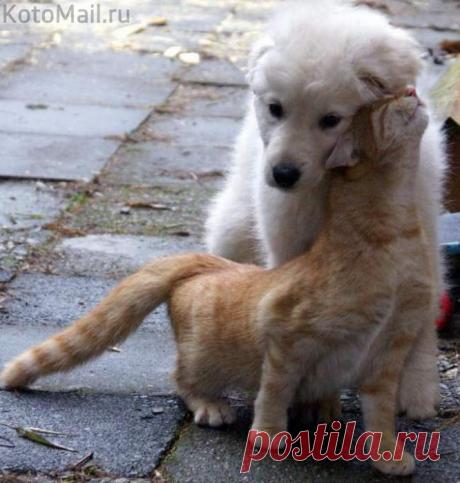 Ты вернулся!