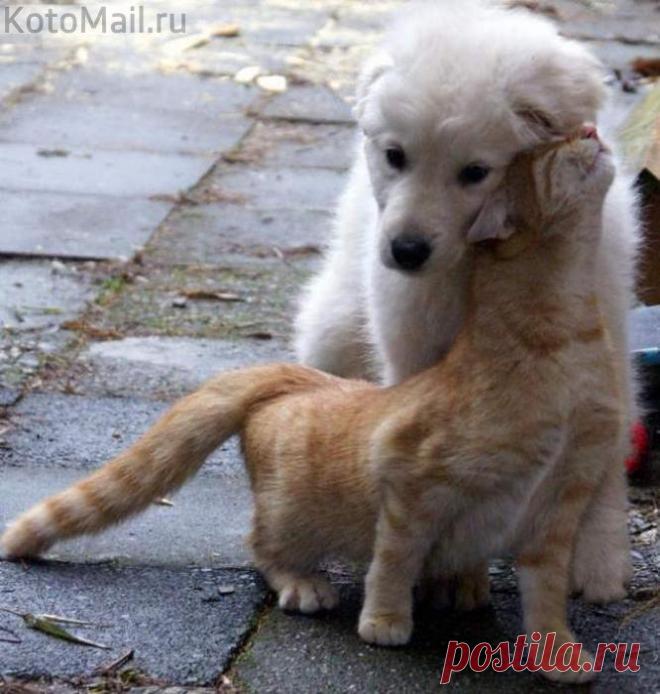 Ты вернулся!