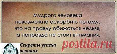 Мудрость нельзя оскорбить