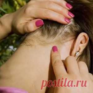 Халифата не будет: Спонсоры терроризма переругались - МирТесен