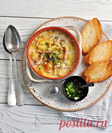 Суп сырный с грибами и курицей — рецепт с фото пошагово + отзывы. Как сварить суп с грибами и плавленным сыром?