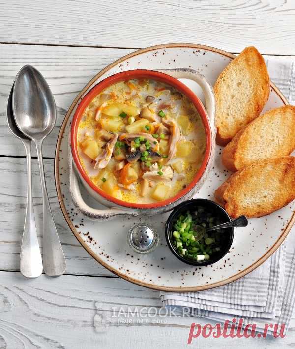 Суп сырный с грибами и курицей — рецепт с фото пошагово + отзывы. Как сварить суп с грибами и плавленным сыром?