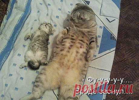 В крупную торговую компанию  требуется менеджер по оформлению дисконтных карт. Свободный график работы, работа ведётся через интернет. Доход от 5000 рублей до 30000 рублей.