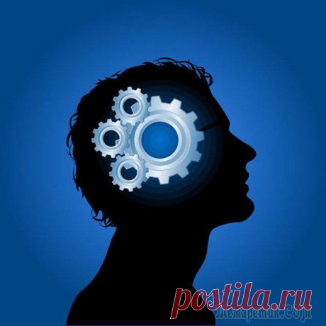 Развиваем логику