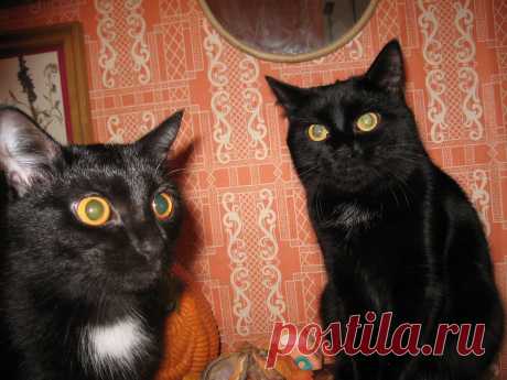 Фото Без названия. Альбом Мир,в котором я живу... - 132 фото. Фотографии Сергей Мартынов.