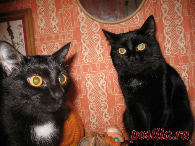 Фото Без названия. Альбом Мир,в котором я живу... - 132 фото. Фотографии Сергей Мартынов.