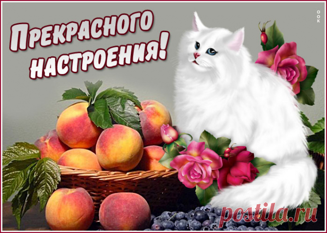 Картинки для хорошего настроения